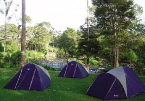 camping-nueva-zelanda.jpg